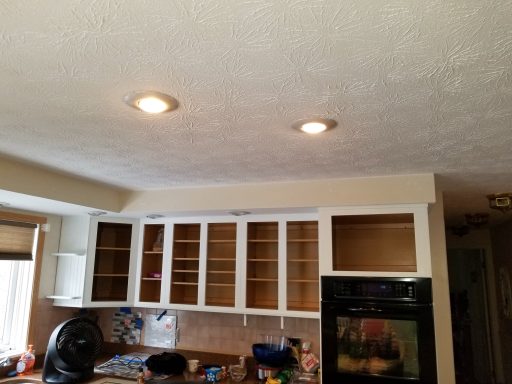 Kitchen Cabinets Before Painting