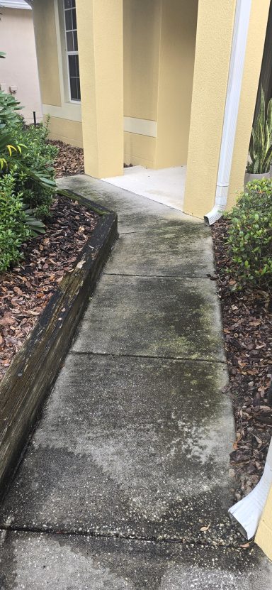 Driveway Pressure Washing