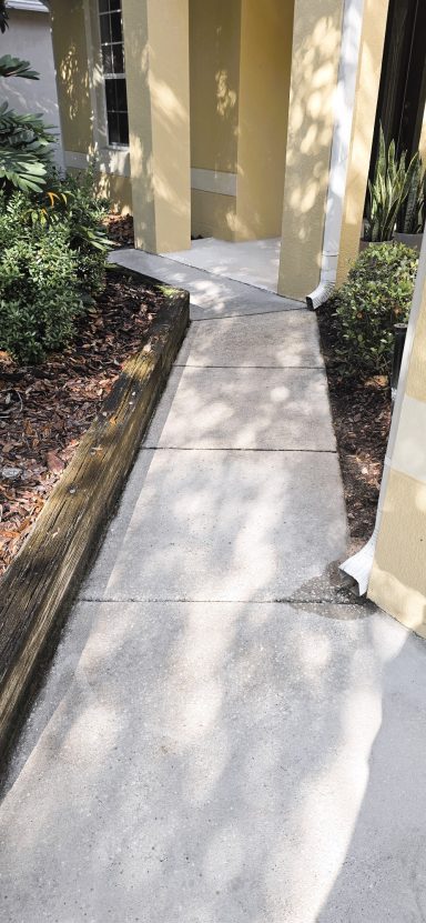 Driveway Pressure Washing 