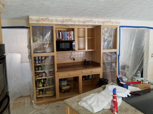 Kitchen Cabinets Before Painting